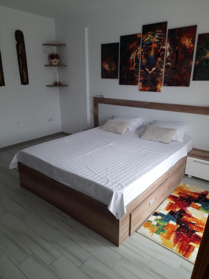 Beach Residence 10 Metri Pana La Plaja Năvodari Extérieur photo
